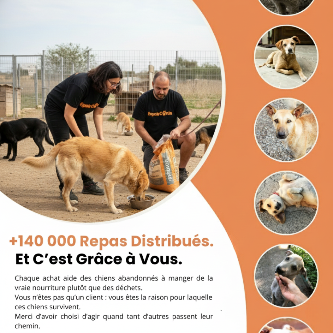 Lapis Lazuli Bracelet